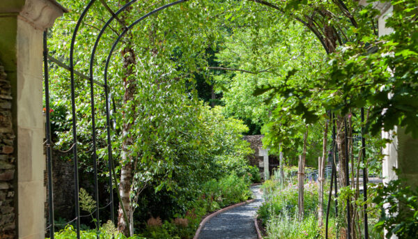 Path in a romantic garden in summer