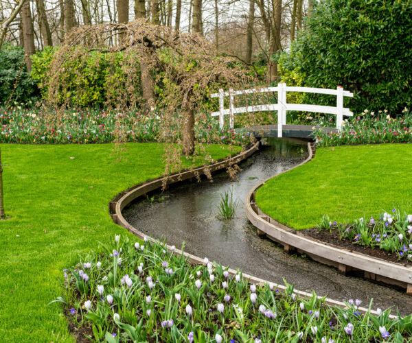 Formal spring garden. Flower Bed In Keukenhof Gardens