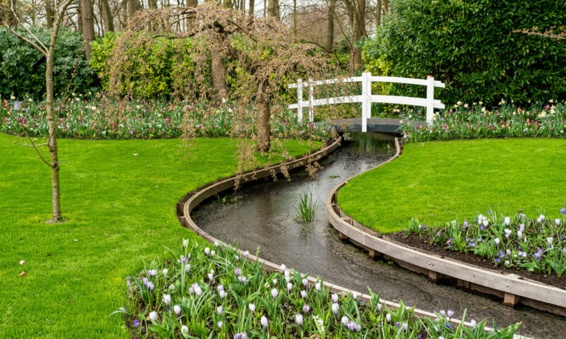 Formal spring garden. Flower Bed In Keukenhof Gardens Formal spring garden. Flower Bed In Keukenhof Gardens