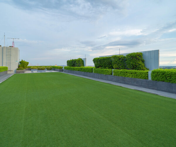 Sky garden on private rooftop of condominium or hotel, high rise architecture building with tree, grass field, and blue sky.