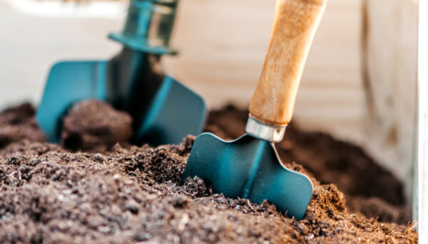 For a gardener. Close up of wooden box with soil and garden spade, shovel prepared for planting vegetables or flowers. Vertical shot. Selective focus For a gardener. Close up of wooden box with soil and garden spade, shovel prepared for planting vegetables or flowers. Vertical shot. Selective focus