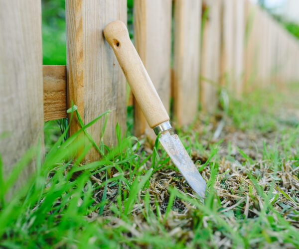 Gardening shovel in an orchard during the gardener's rest