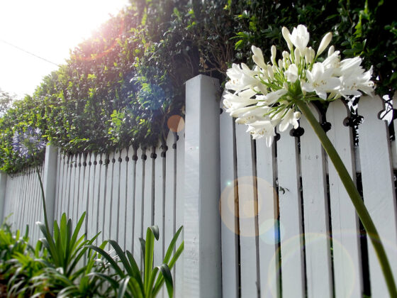 white-picket-fence-in-front-of-a-home-garden-2025-01-08-23-13-55-utc white-picket-fence-in-front-of-a-home-garden-2025-01-08-23-13-55-utc